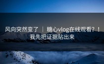 风向突然变了 ｜ 糖心vlog在线观看？！我先把证据贴出来